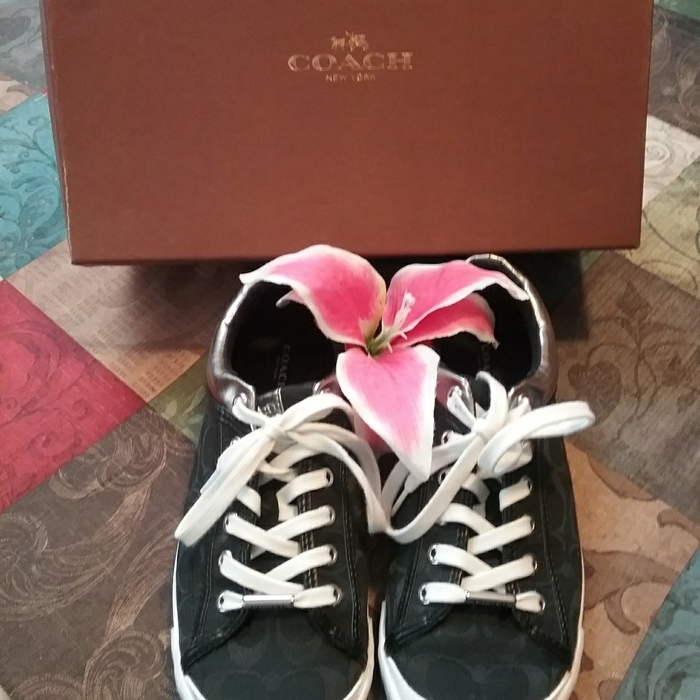 Gym shoes